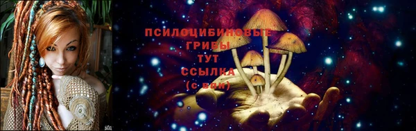 стаф Вязники