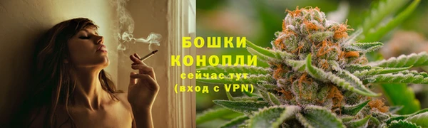 стаф Вязники