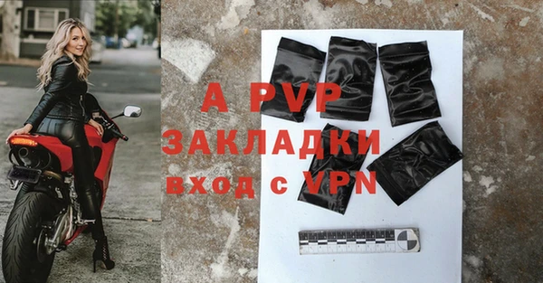 стаф Вязники