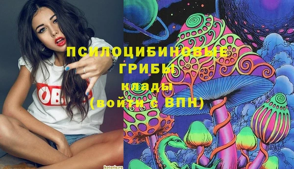 стаф Вязники